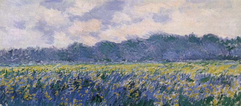Claude Monet Field of Irses at Giverny Norge oil painting art